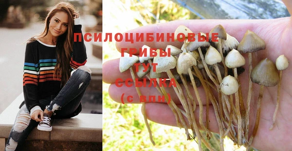 мефедрон Белокуриха